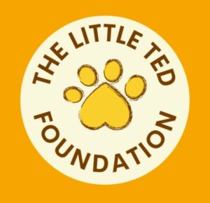 The Little Ted Foundation logo